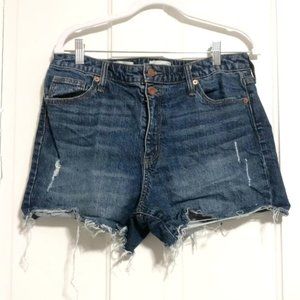 Universal Thread Size 12 / Size 31 Shorts